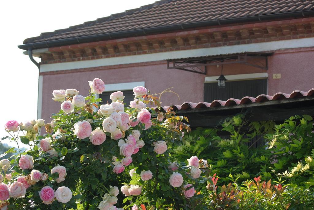 B&B La Ca Cita Cortazzone Exterior photo